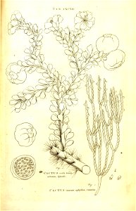 n141_w1150