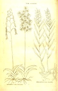 n112_w1150