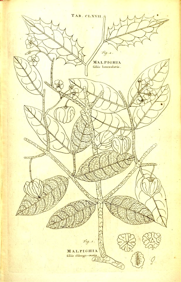 n81_w1150