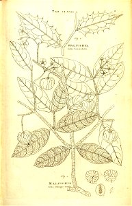 n81_w1150