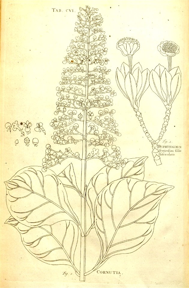 n203_w1150