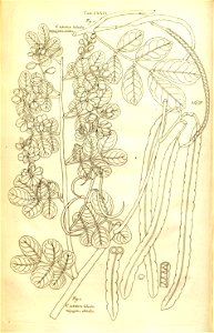 n146_w1150