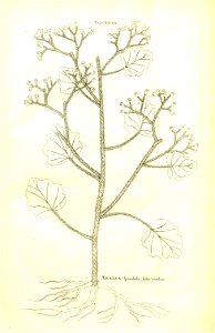 n59_w1150