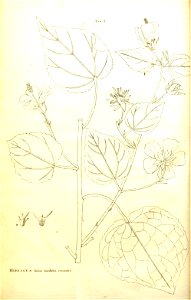 n6_w1150