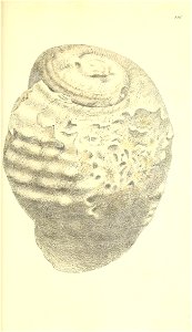n82_w1150