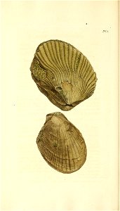 n277_w1150