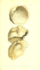 n58_w1150