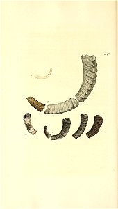 n63_w1150