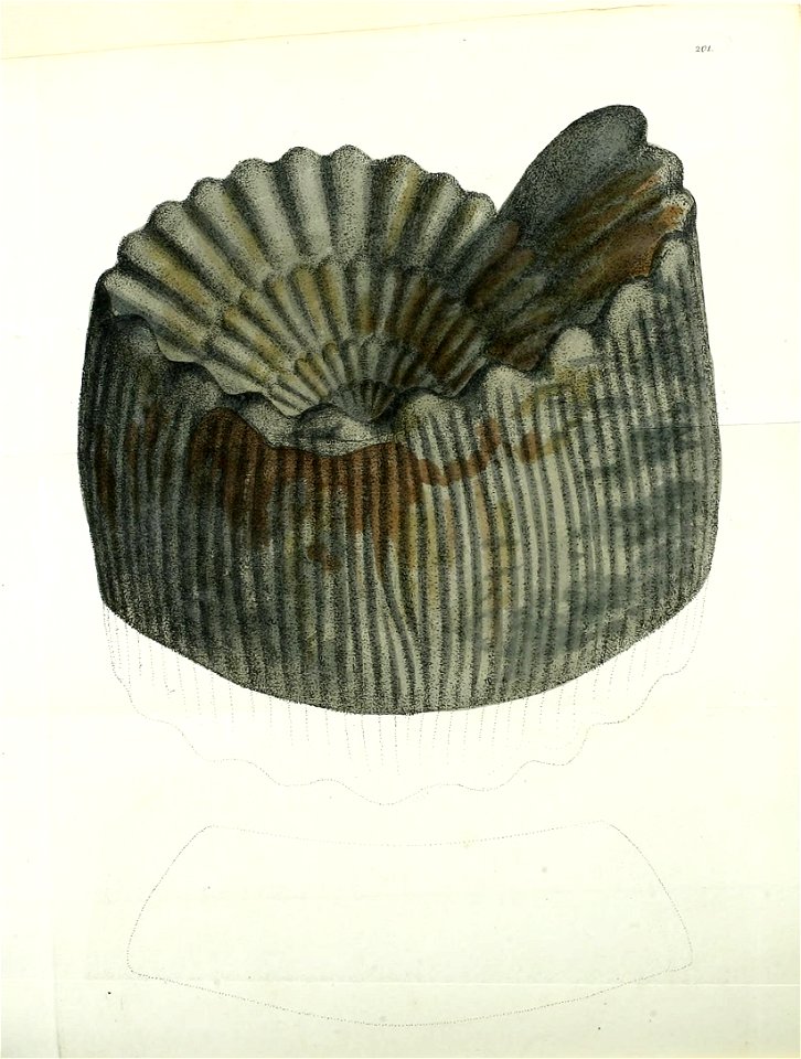 n443_w1150