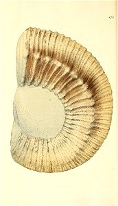 n311_w1150