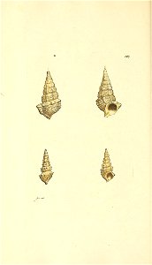 n121_w1150