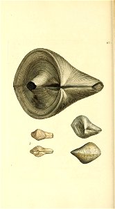 n379_w1150