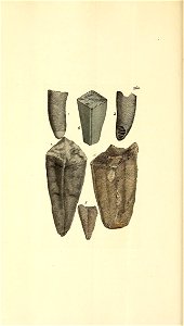 n235_w1150
