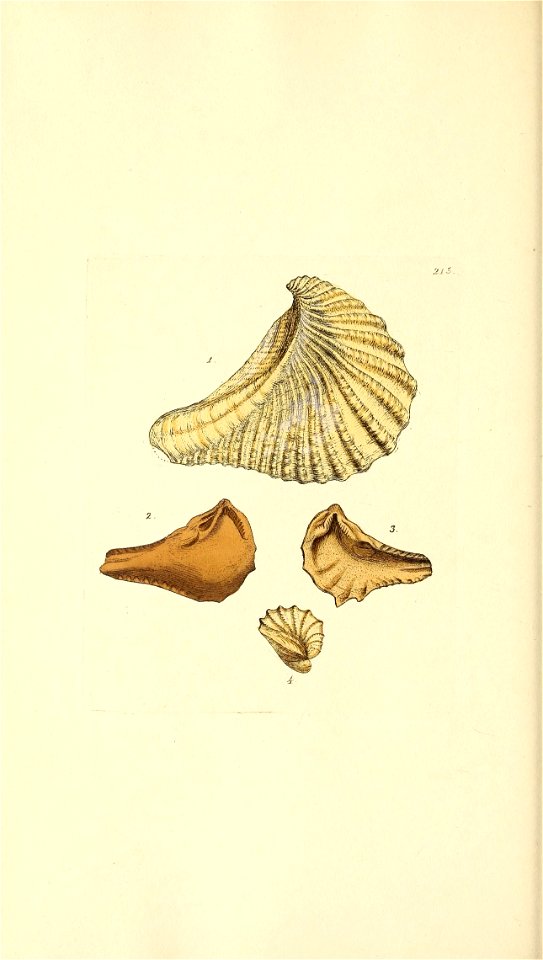 n59_w1150