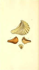 n59_w1150