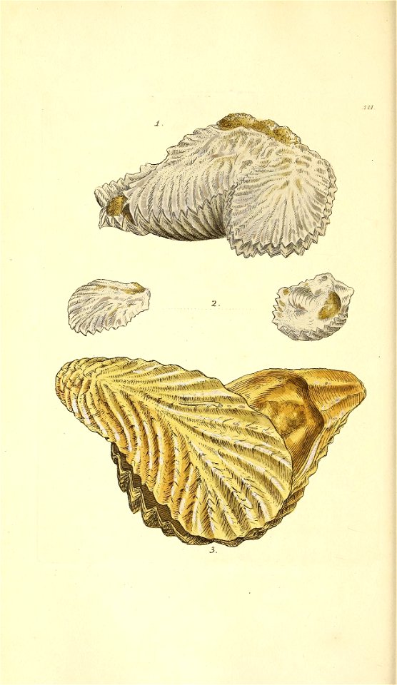 n45_w1150