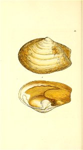 n375_w1150