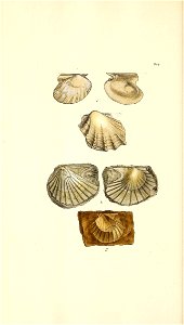 n167_w1150