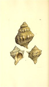 n111_w1150