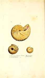 n365_w1150