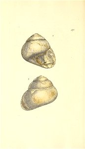 n303_w1150