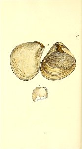 n371_w1150