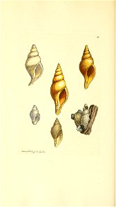 n173_w1150