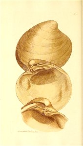 n107_w1150