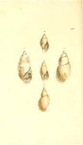 n117_w1150