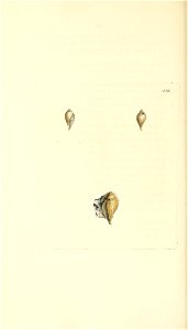n351_w1150