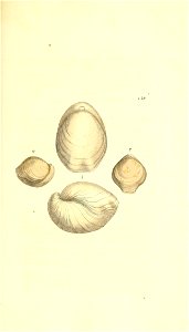 n126_w1150