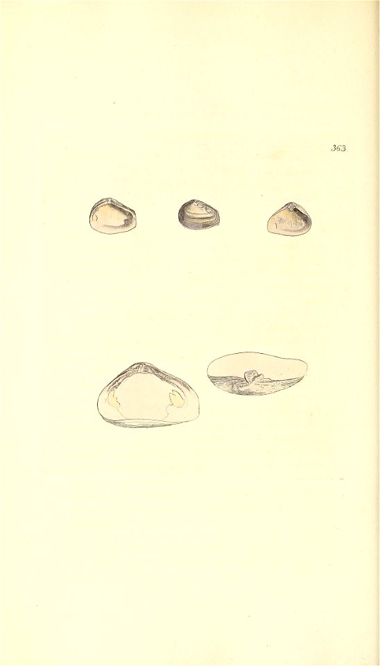 n213_w1150