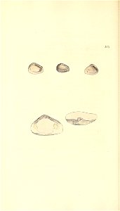n213_w1150