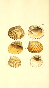 n229_w1150