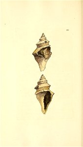 n107_w1150