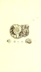 n368_w1150