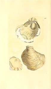 n317_w1150