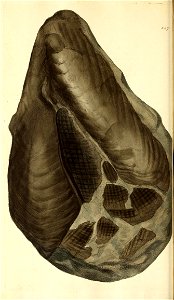 n153_w1150