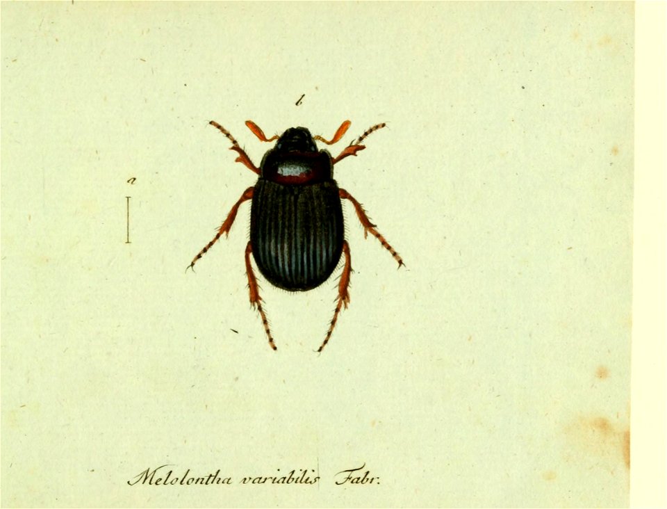 n50_w1150