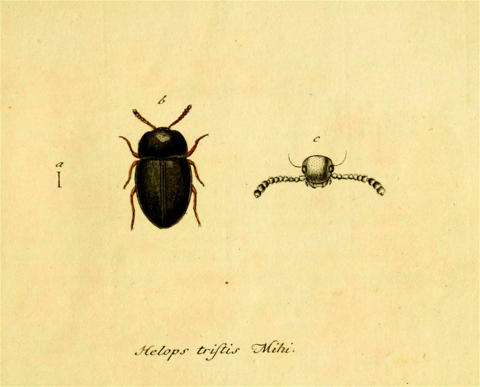 n106_w1150
