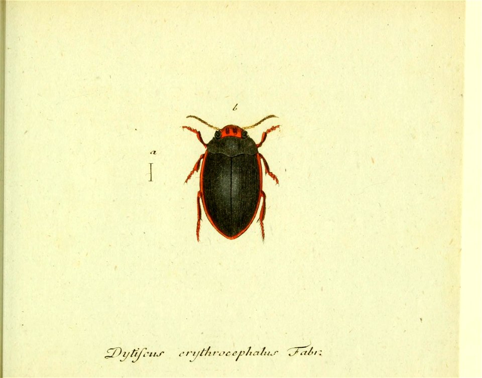 n414_w1150