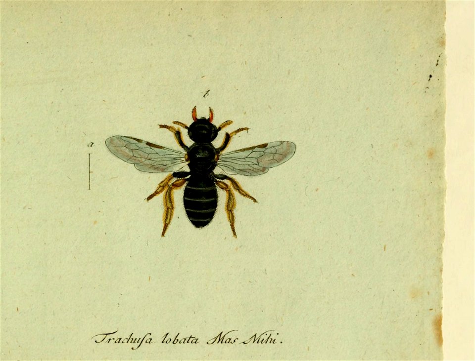 n574_w1150