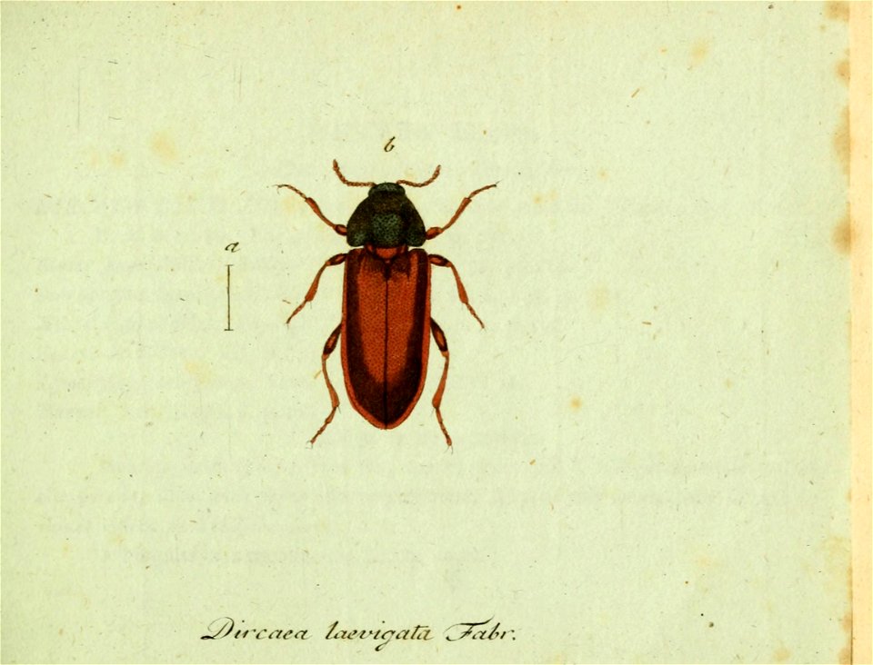 n26_w1150
