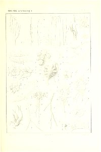 n146_w1150