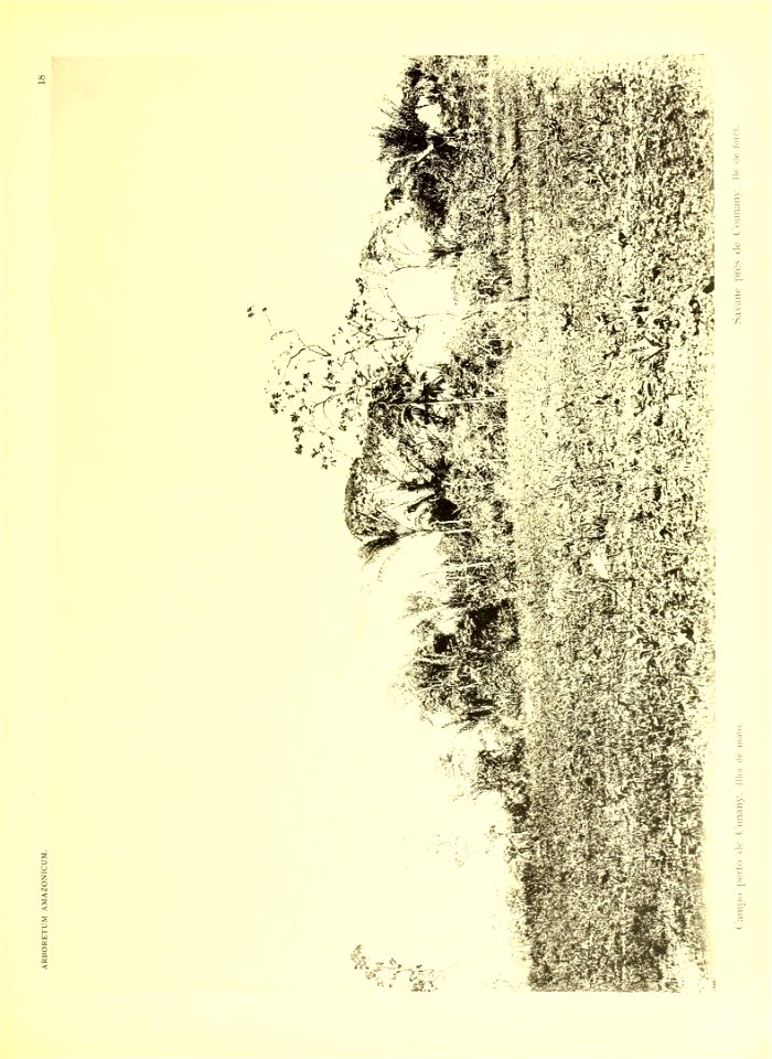n32_w1150