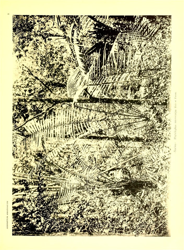 n12_w1150