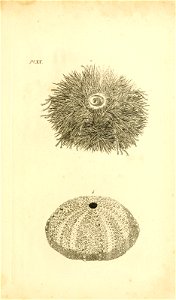 n48_w1150