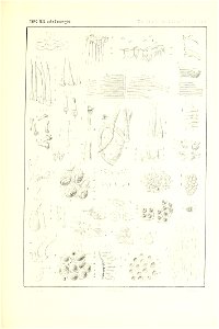 n142_w1150