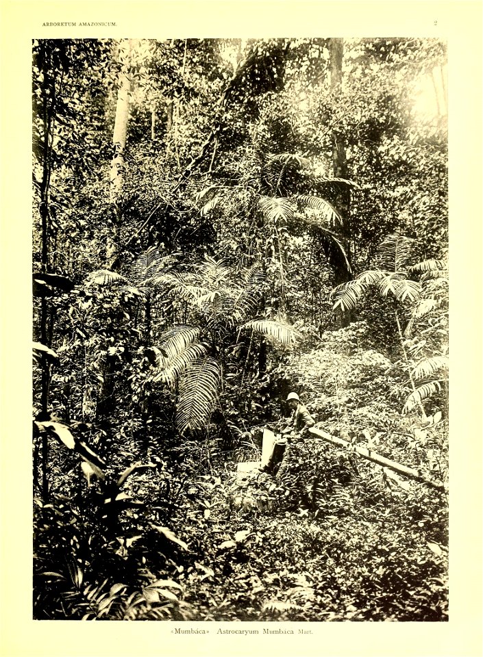 n8_w1150