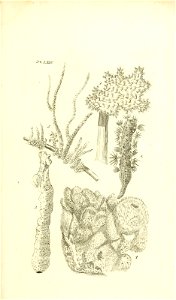 n136_w1150